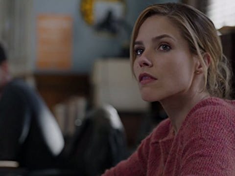Chicago P.D. - Episode 16