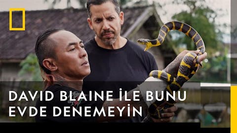 David Blaine İle Bunu Evde Denemeyin - Episode 2