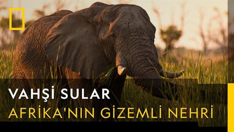 Vahşi Sular - Episode 1