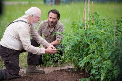 The Walking Dead - Episode 1