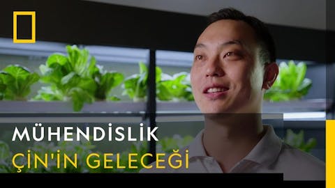 Çin - Episode 12