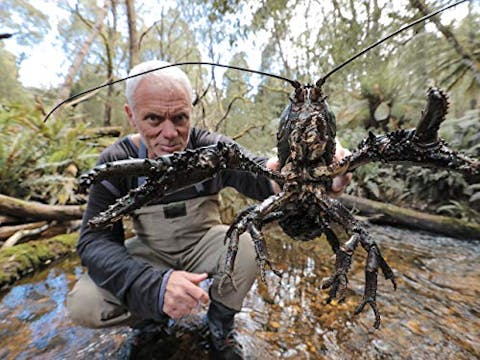 Jeremy Wade's Dark Waters - Episode 7