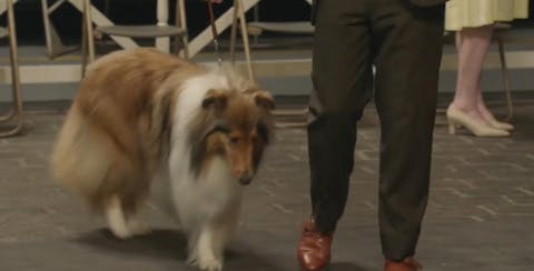 Ms Fisher's Modern Murder Mysteries - Episode 4