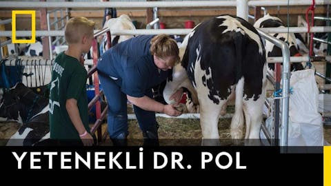 Yetenekli Dr.Pol - Episode 18