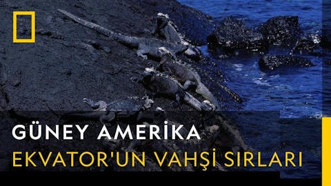 Güney Amerika - Episode 6