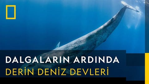 Dalgaların Ardında - Episode 1