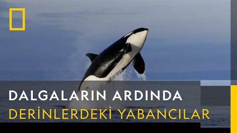 Dalgaların Ardında - Episode 6