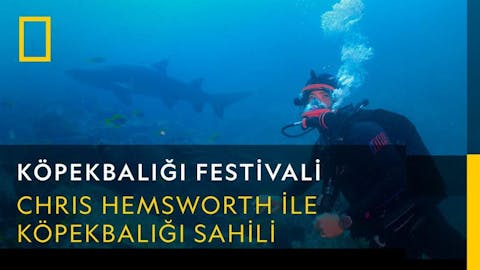 Köpekbalığı Festivali - Episode 6