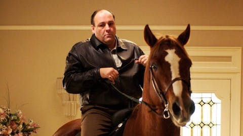 The Sopranos - Episode 11