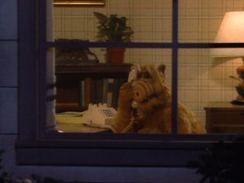 ALF - Episode 22