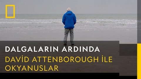 Dalgaların Ardında - Episode 5