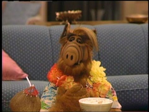 ALF - Episode 2