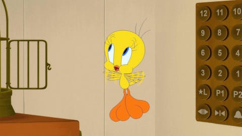 Looney Tunes Cartoons - Episode 5