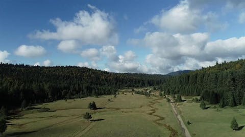 Orman Yolu - Episode 19