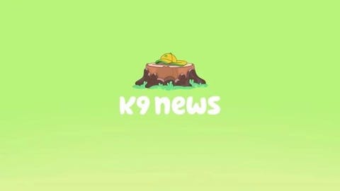 Bluey - Episode 17