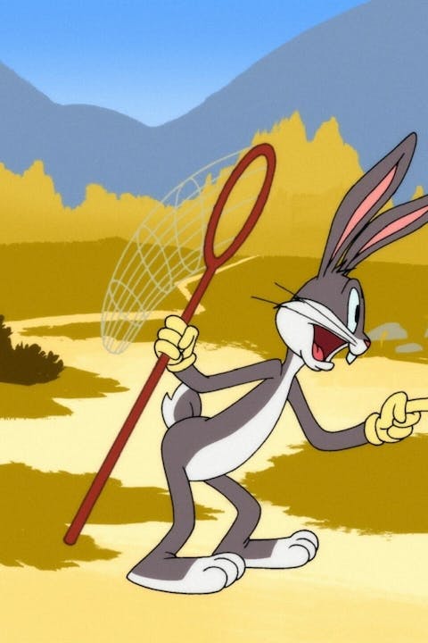 Looney Tunes Cartoons - Episode 5