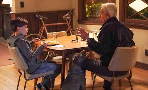 NCIS - Episode 14