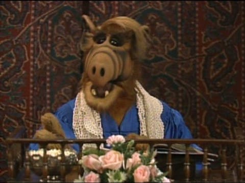 ALF - Episode 17