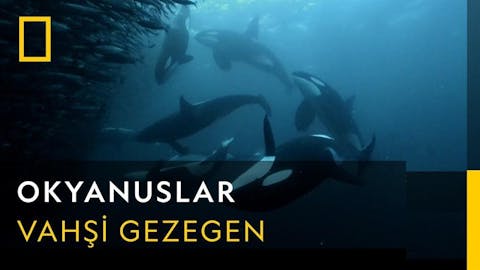 Dalgaların Ardında - Episode 11