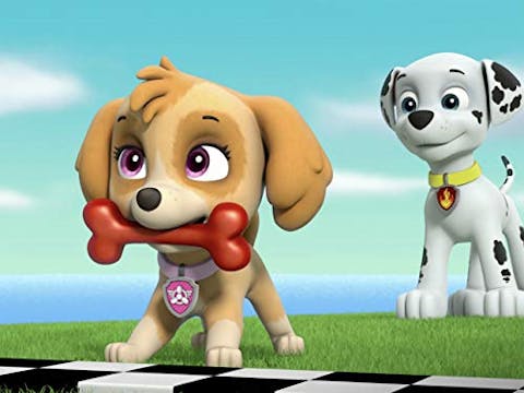 PAW Patrol - Episode 1