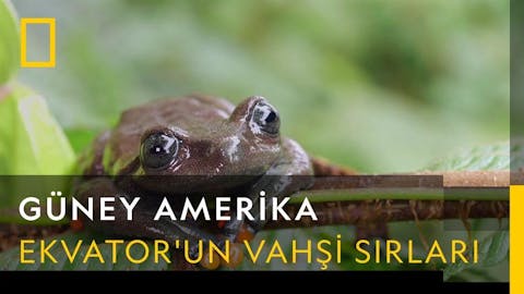Güney Amerika - Episode 7