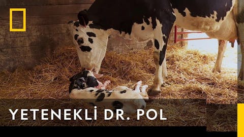 Yetenekli Dr.Pol - Episode 5