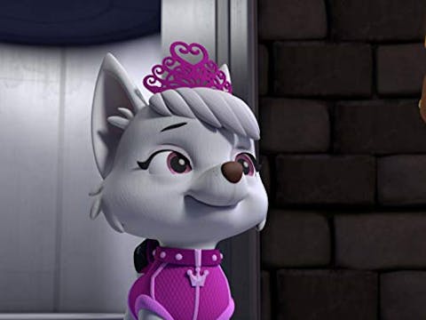 PAW Patrol - Episode 18