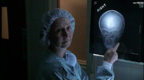 Law & Order: Special Victims Unit - Episode 12