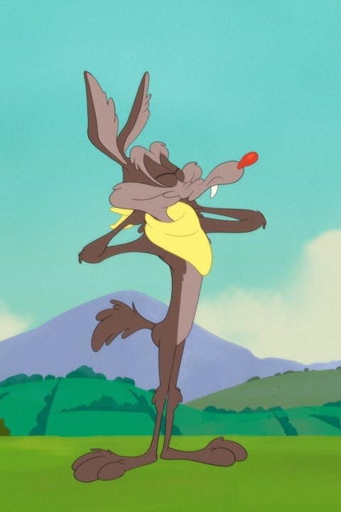 Looney Tunes Cartoons - Episode 28