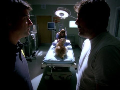 Grey's Anatomy - Episode 17
