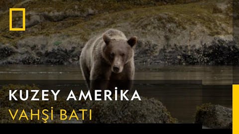 Vahşi Amerika - Episode 14