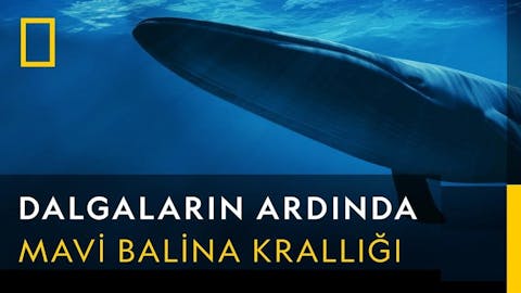 Dalgaların Ardında - Episode 16