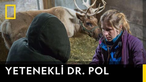 Yetenekli Dr.Pol - Episode 20