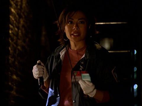 Law & Order: Special Victims Unit - Episode 9