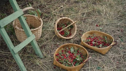 Karadeniz Usulü - Episode 7