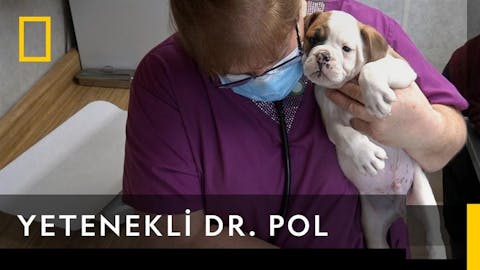 Yetenekli Dr.Pol - Episode 15