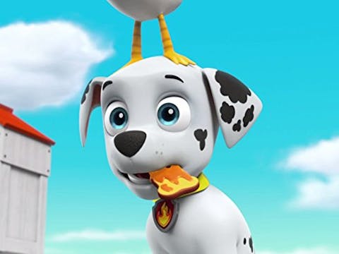 PAW Patrol - Episode 12