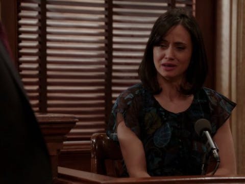 Law & Order: Special Victims Unit - Episode 17