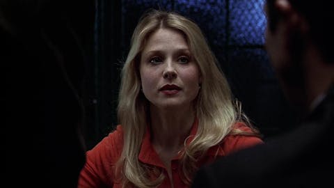 Law & Order - Episode 13