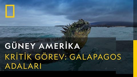 Güney Amerika - Episode 2