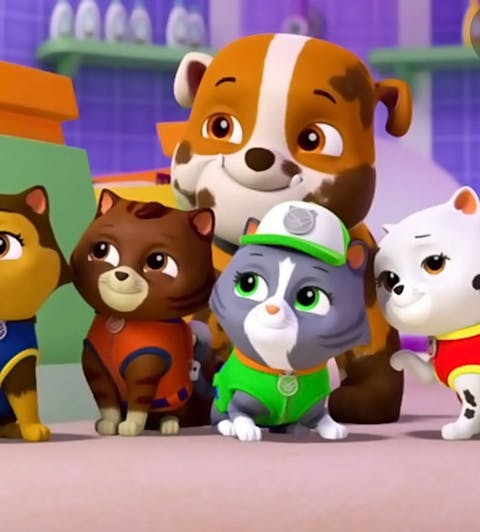PAW Patrol - Episode 22