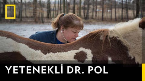 Yetenekli Dr.Pol - Episode 17