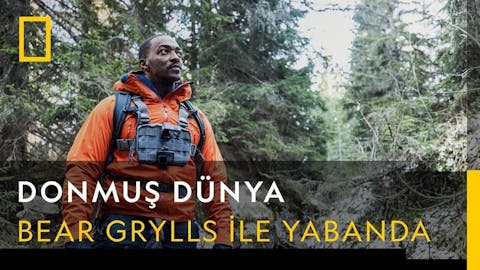 Bear Grllys ile Yabanda - Episode 11