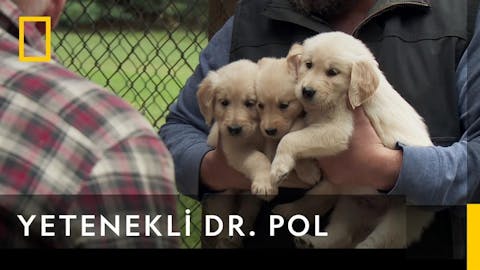 Yetenekli Dr.Pol - Episode 7