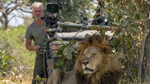 Big Cats 24/7 - Episode 1
