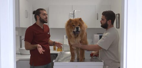 Tugay Inanoglu ve Dostlari - Episode 2