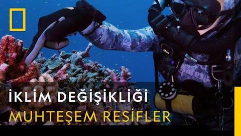 İklim Değişikliği - Episode 3