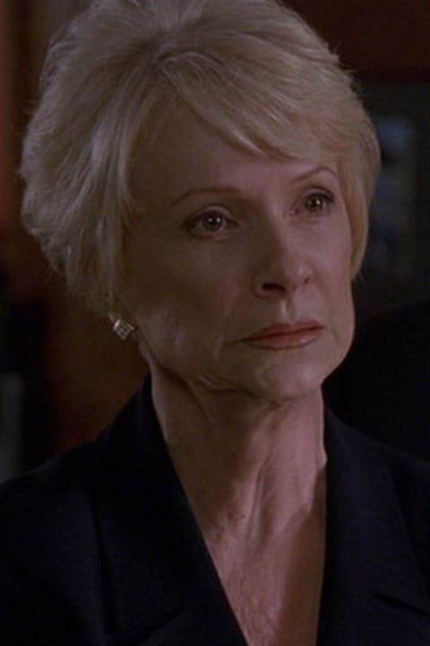 Law & Order - Episode 15