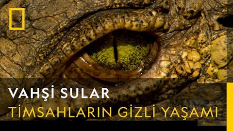 Vahşi Sular - Episode 10