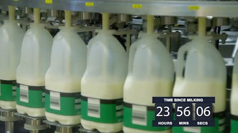 Inside the Factory - Episode 3